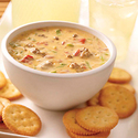 Spicy Cheeseburger Dip